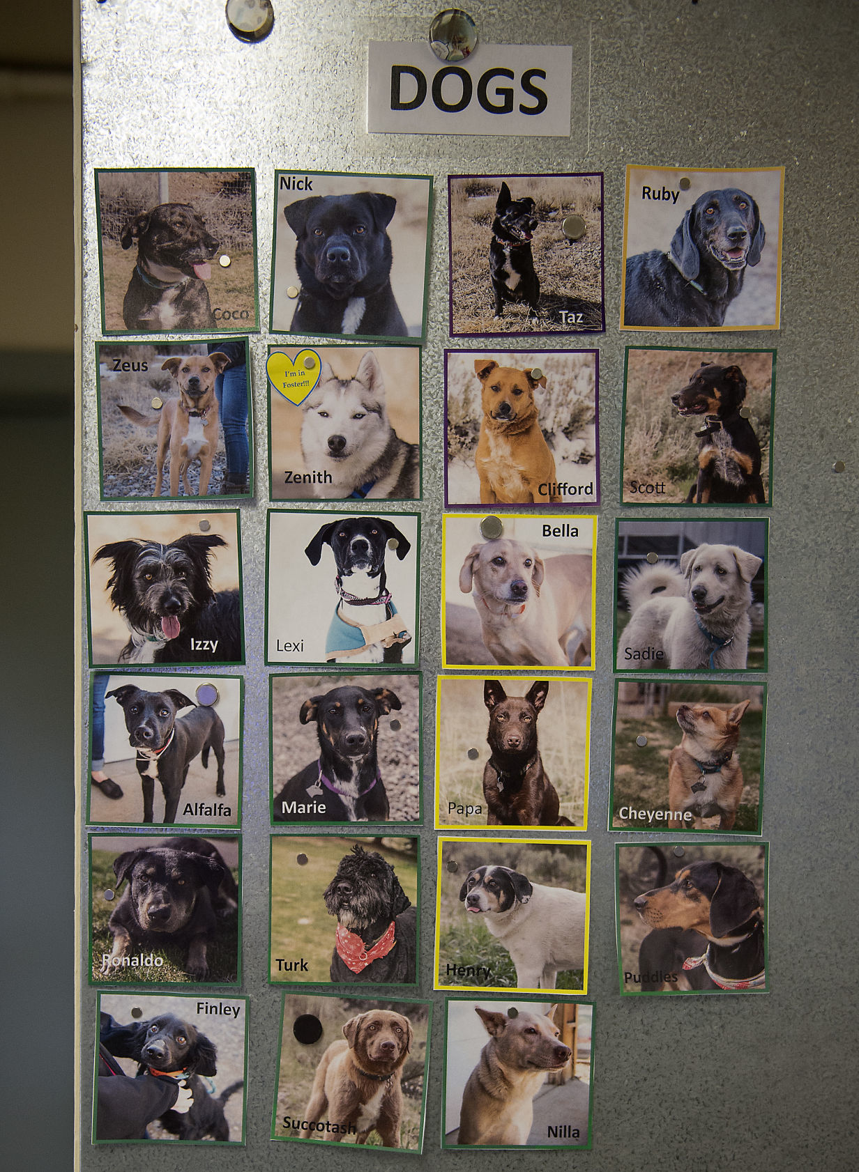 Pet advocates delight in $16 million facility